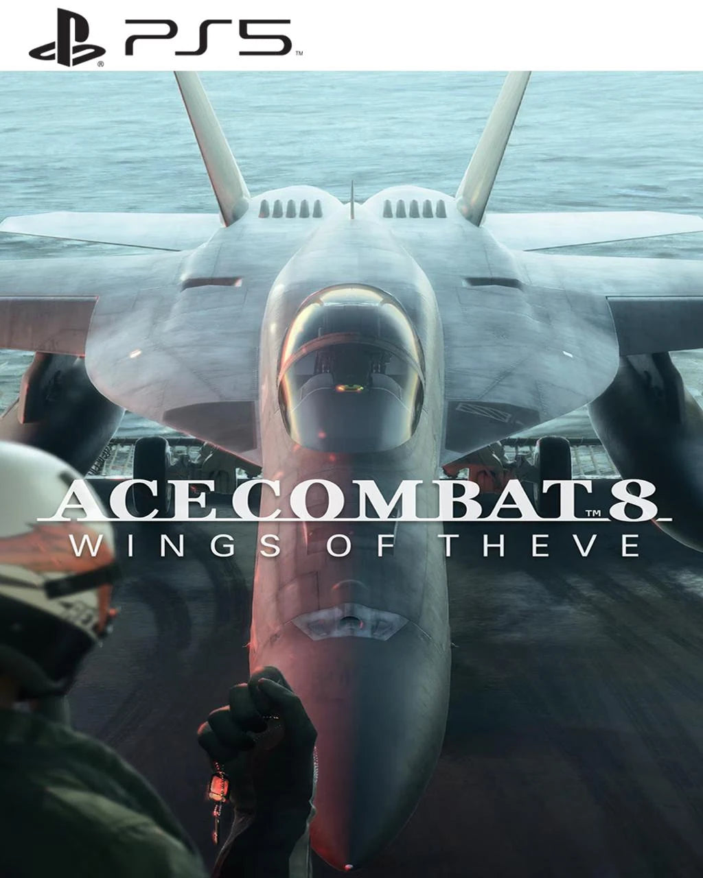 Ace Combat 8: Wings Of Theve para PlayStation 5