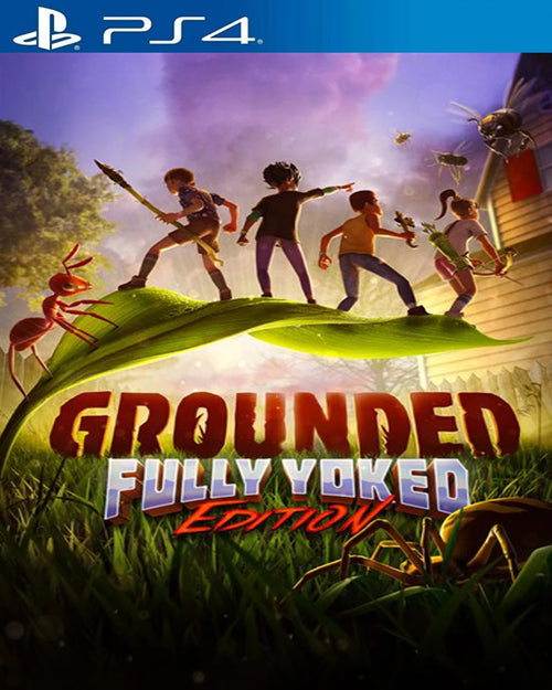 Grounded PS4